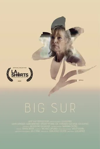 Big Sur movie poster - Entertainment content