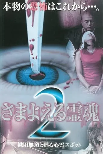Wandering Souls 2: Exploring Haunted Spots with Oda Nobunaga movie poster - Entertainment content