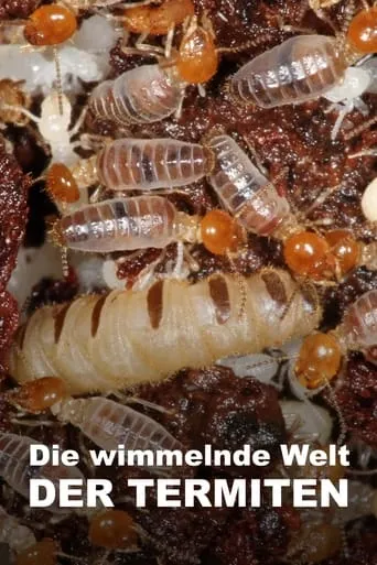 The World According to Termites movie poster - Rated 6.5/10