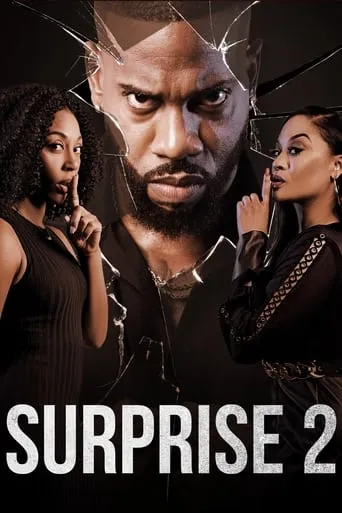 Surprise 2 movie poster - Rated 8/10