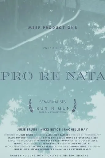 Pro Re Nata movie poster - Entertainment content