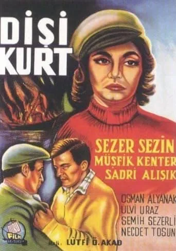 Dişi Kurt movie poster - Entertainment content