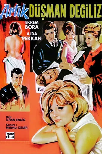 Artık Düşman Değiliz movie poster - Entertainment content