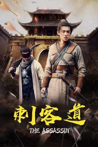 刺客道 movie poster - Entertainment content