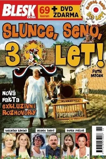 Sun, Hay, 30 Years! movie poster - Entertainment content