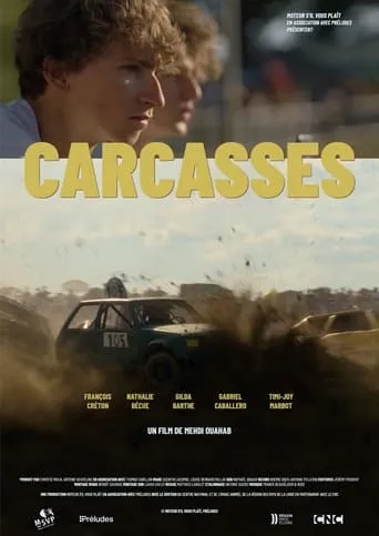 Wrecks movie poster - Rated 5.5/10