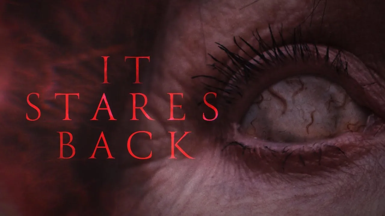 It Stares Back