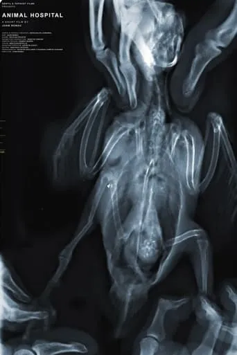 Animal Hospital movie poster - Entertainment content