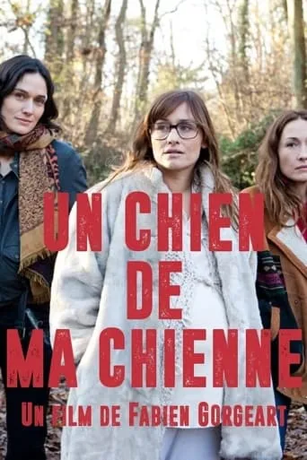 Un chien de ma chienne movie poster - Entertainment content