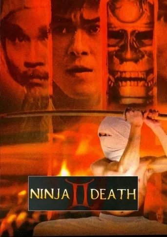Ninja Death 2 movie poster - Rated 6/10
