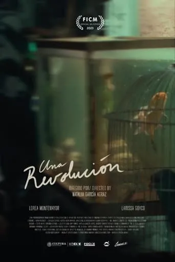 A Revolution movie poster - Entertainment content