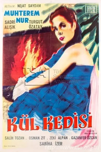 Kül Kedisi movie poster - Entertainment content