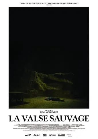 La Valse sauvage movie poster - Entertainment content