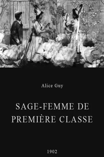 Midwife to the Upper Class movie poster - Rated 4.7/10
