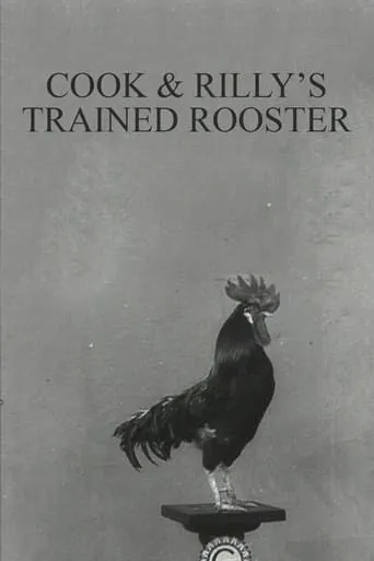 Cook & Rilly's Trained Rooster movie poster - Rated 4.1/10