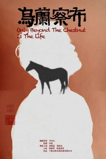 乌兰察布 movie poster - Entertainment content