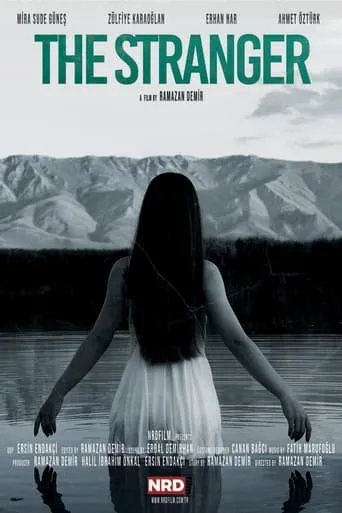 The Stranger movie poster - Entertainment content