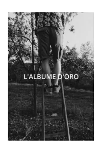 L'Albume D'Oro movie poster - Entertainment content