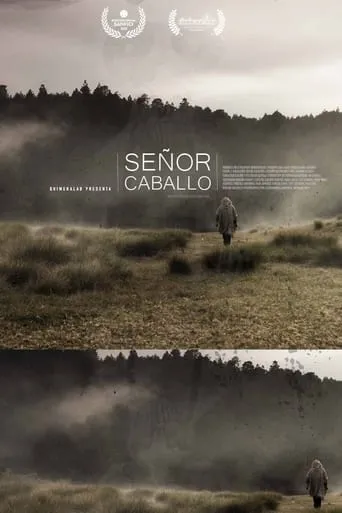 Señor Caballo movie poster - Entertainment content