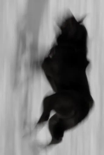 Two Dogs movie poster - Entertainment content