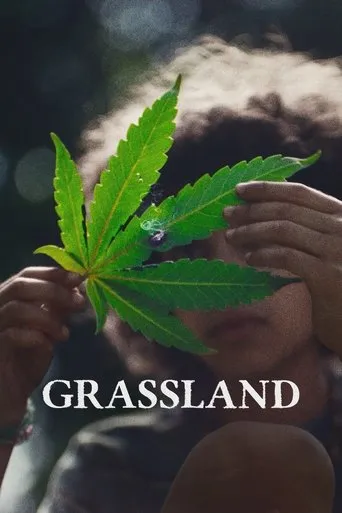 Grassland movie poster - Entertainment content