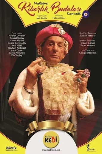 Kibarlık Budalası movie poster - Entertainment content