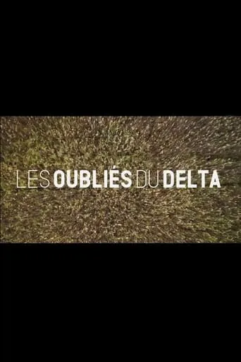 Les oubliés du Delta movie poster - Rated 7.5/10