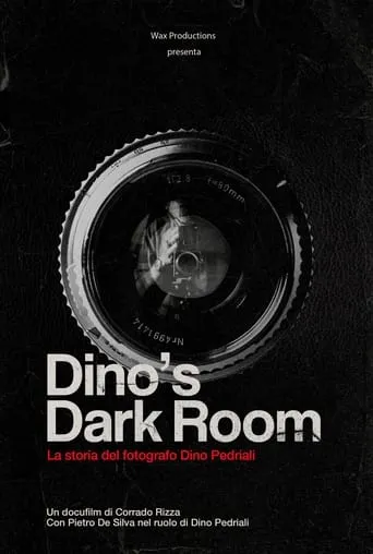 Dino's dark room movie poster - Entertainment content