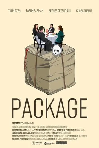 Package movie poster - Rated 4/10