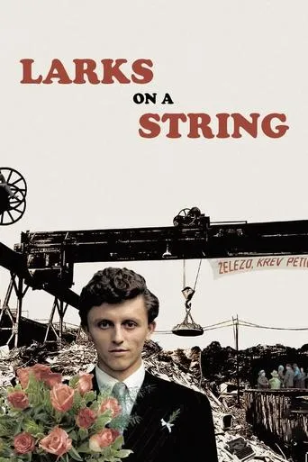 Larks on a String movie poster - Rated 6.9/10