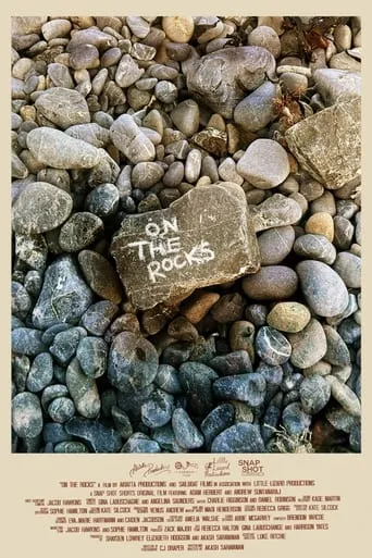 On the Rocks movie poster - Entertainment content
