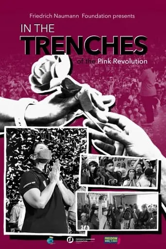 In The Trenches Of The Pink Revolution movie poster - Entertainment content