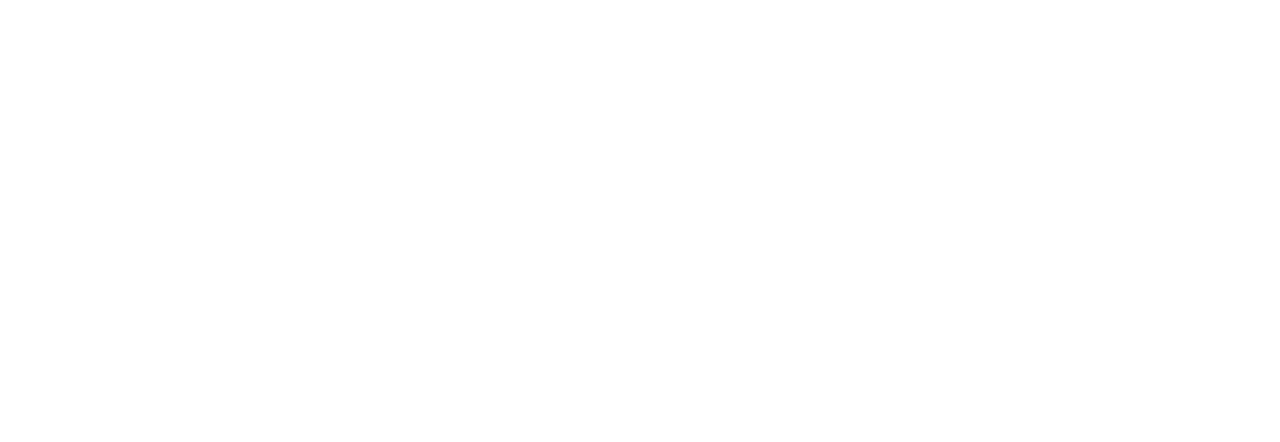 Fake