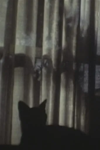 CAT ＆ CURTAIN movie poster - Entertainment content
