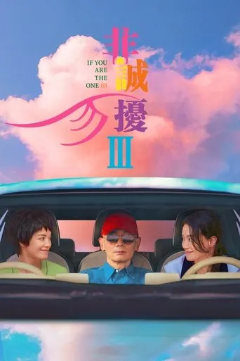 If You Are the One 3 movie poster - Rated 4.9/10