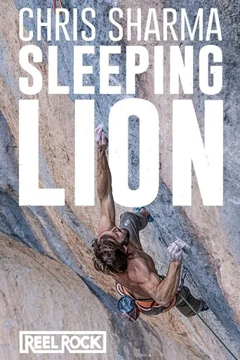 Sleeping Lion movie poster - Rated 10/10