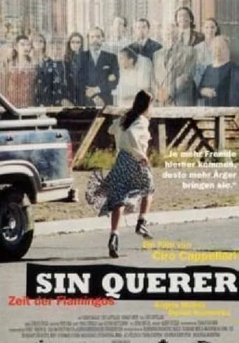 Sin querer movie poster - Entertainment content