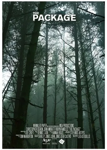 The Package movie poster - Entertainment content