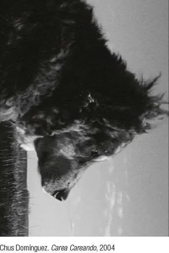 Carea careando. De pastores, perros y rebaños movie poster - Entertainment content