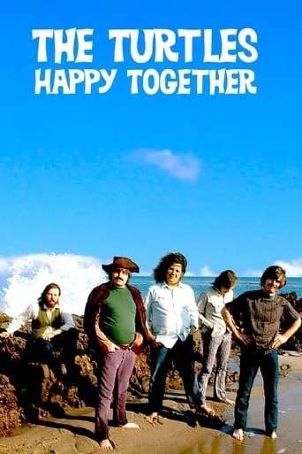 The Turtles: Happy Together movie poster - Entertainment content