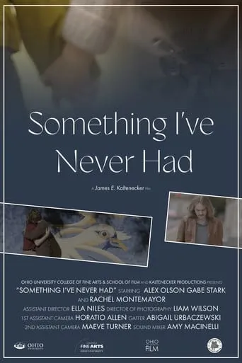 Something I've Never Had movie poster - Entertainment content