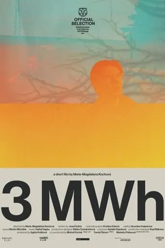 3 MWh movie poster - Rated 8/10