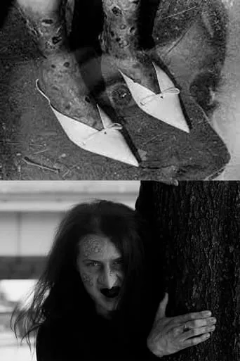 The Pointy Slippers movie poster - Entertainment content