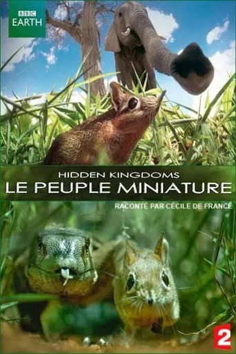 Le peuple miniature movie poster - Rated 6/10