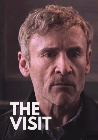 The Visit movie poster - Entertainment content