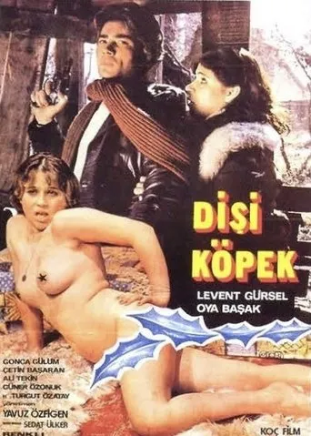 Dişi Köpek movie poster - Entertainment content