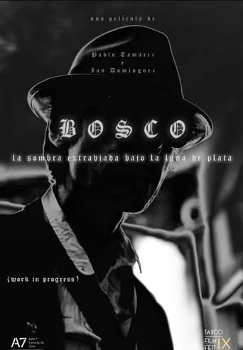 Bosco: La Sombra Extraviada Bajo la Luna de Plata movie poster - Entertainment content