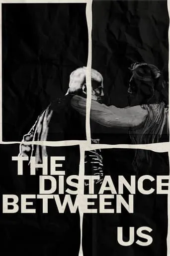 The Distance Between Us movie poster - Entertainment content