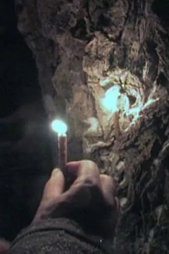 Through the Needles of Coniferous Trees movie poster - Entertainment content