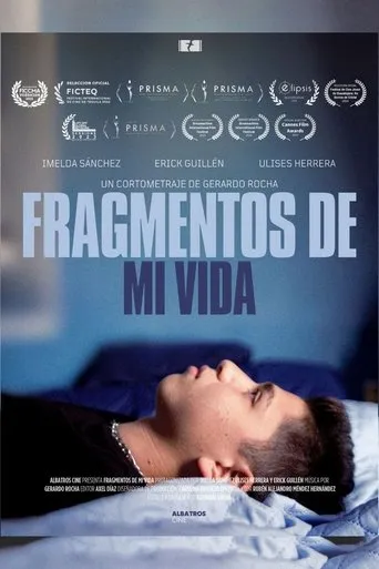 Pieces of my life movie poster - Entertainment content